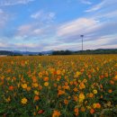 (주)나이스 이미지