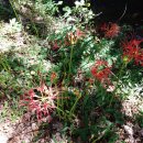 동북약국 이미지