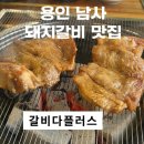 [맛집공부] 처인구 갈비 맛집 갈비다플러스 후기
