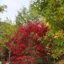 대운산자연휴양림(양산) 이미지