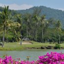 넥서스그린 이미지