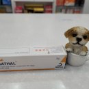 미사대한약국 이미지