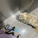 서울에서 가까운 곳에 위치한 캠핑장: 홍천캠프하다