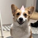 신유선한의원 이미지