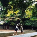 씨제이올리브영전주평화점 | 전주ㅇF호 𓂃