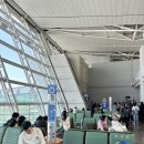 4610 | 칭다오 산동항공 sc4610 좌석 컨디션 기내식 후기