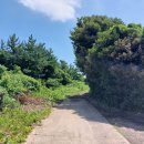 오조리-7 이미지