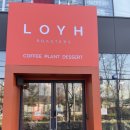 로이로스터스(LOYH ROASTERS) | 용인 로이로스터스 (LOYH ROASTERS) 식물카페 희귀식물