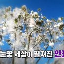 고향찹쌀호떡 이미지