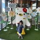 통영 아이와 함께 스탠포드호텔앤리조트 수영장 콘도 통영호텔 온돌