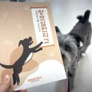 위드온 반려견 교육센터 | 서대문 내품애센터 댕쪽이가달라졌어요 수업 후기 (1회차) 굿보이스쿨