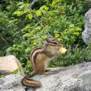 태백산경로당 이미지