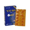 기가플러스