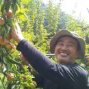 낙원농장2 이미지