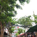 옥수수 펫샵 이미지