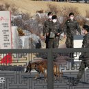 포토사이언스 이미지