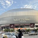 백남옥달인손만두 이미지