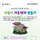 다육이놀이터 이미지