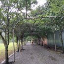 상전체련공원 이미지