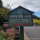 [제주/서귀포] 숨도 ||서귀포식물원/제주겨울여행/숨도 12월/내돈내산/석부작박물관||