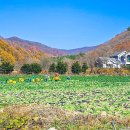 인제14-1 이미지