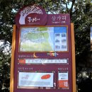 퐁낭 이미지