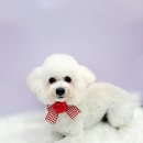 나무쉼터 동물병원 이미지