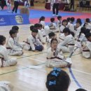 로뎀태권도 이미지