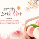 농업회사법인(주)자연식품 이미지