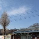 대동약방 이미지