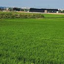 문수농장 2 이미지