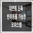 드림아이데스 대연 이미지
