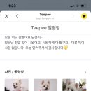 그루밍 호찌 이미지