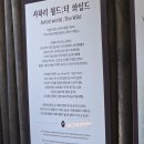 에버마리헤어 | 에버랜드 사파리월드 동물 종류 대기시간 후기