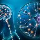 튼튼태권도 이미지