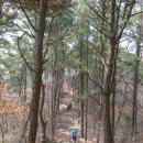 봉선지둘레길 이미지