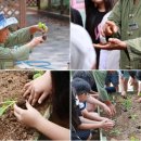 신현(쌈지돈)마을 이미지