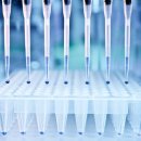 경기유전자 이미지