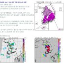 [신천지, SCJ, 부산] 피서철 홍수로 더러워진 깨끗한 다대포 해수욕장을 만들기 이미지