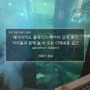 구룡대매표소 | 베이사이드 플레이스 하카타 답사 후기_아이들과 함께 놀 수 있는 다채로운 공간