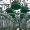 (주)팜코리아 이미지