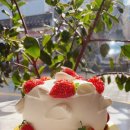 브레드컴퍼니쉐프조 이미지