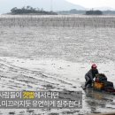 거차뻘배체험마을 이미지