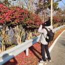 천사퍼플민박 이미지