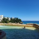 쏠비치 호텔 삼척 이미지