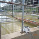 용소사계절 이미지