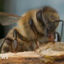 희망슈퍼 이미지