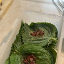 배트맨노래연습장 이미지