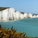 마이김밥 이미지