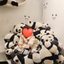 8개월 아기와 에버랜드산책후기(밥집,카페,놀이기구,실내볼거리,수유실)